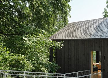 Unique cabane dans les arbes avec sauna privé dans les Ardennes - 4