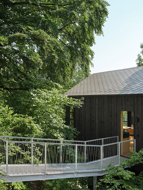 Unique cabane dans les arbes avec sauna privé dans les Ardennes - 4