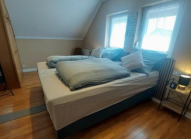 Appartements accueillants pour les animaux - 13