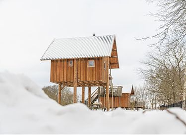 Maison dans les arbres à Overijssel au bord d'une rivière - 19