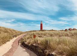 Texel