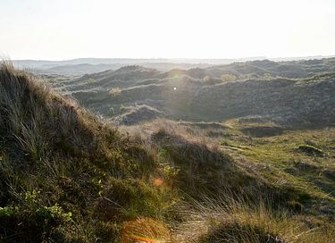 Gemütliches Zelt-Häuschen auf Terschelling - 37
