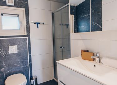 Lodge de luxe dans la région de la Veluwe avec espace bien-être - 14