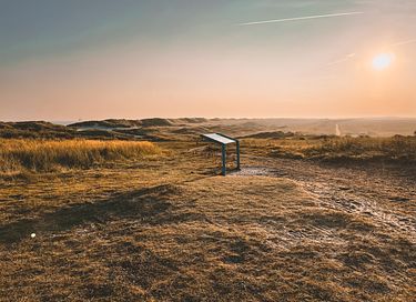 Gastfreundliches Hotel in den Dünen von Ameland - 34