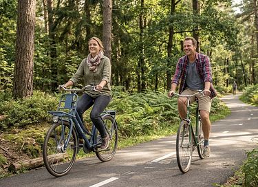 Vakantiehuis met ruime tuin en overkapping - 33