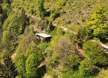 Forest cabin with private sauna - 28