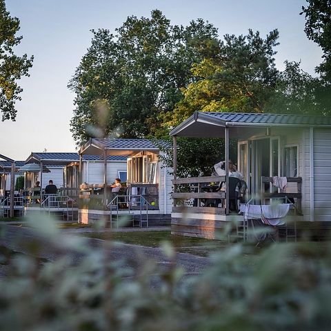 Tiny house (6p) met veranda - 2