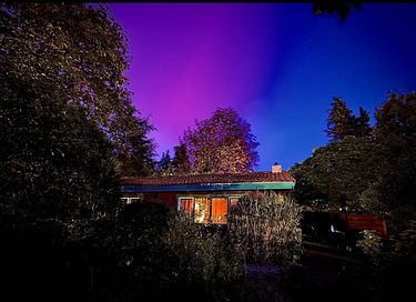 Maison dans la forêt en bois avec jardin spacieux - 32