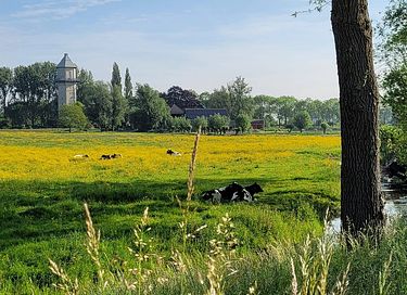 Slapen in een unieke watertoren - 16