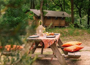 Geräumiges Glampingzelt (7p) im Wald - 19
