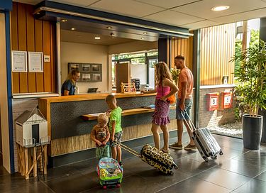 Studio acceptant les chiens (2 personnes) à Terschelling - 20