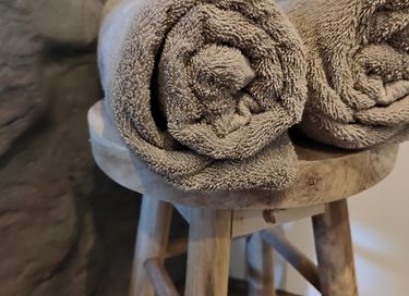 Lodge dans les bois avec bain à remous privé à Drenthe - 19