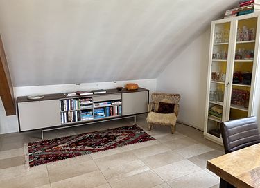 Grasdakwoning met uitzicht over Reitdiep   - 14