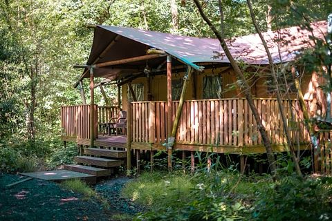 Geräumiges Glampingzelt mit viel Privatsphäre - 2
