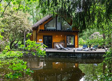 Insane wellness overnight stay in the forest - 3