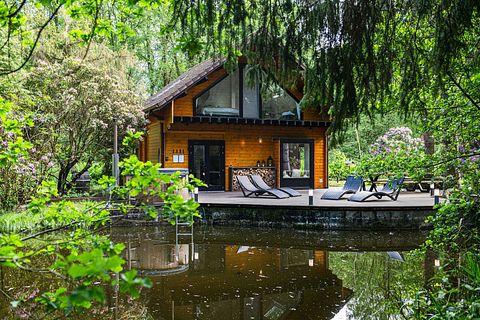Insane wellness overnight stay in the forest - 3