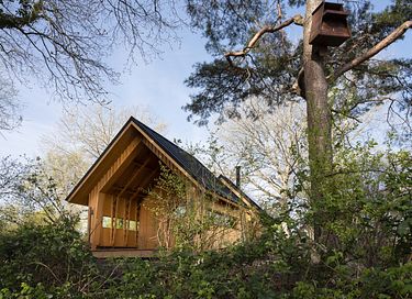 Lodge forestier écoresponsable au design unique