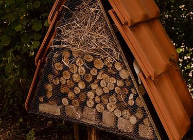 Luxuriöses Safarizelt (5 Personen) mit Klimaanlage - 30