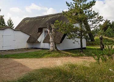 Uniek vakantiehuis in het bos in Denemarken - 16