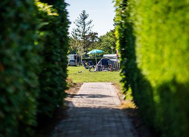 Unieke Glamping ervaring in Drenthe - 12