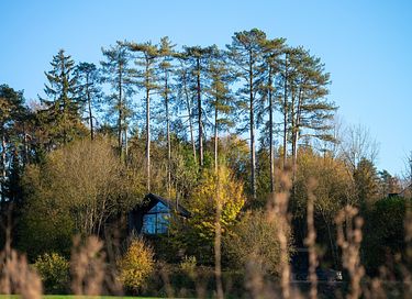 Forest cabin with sauna on a hill in Durbuy - 2