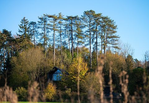 Forest cabin with sauna on a hill in Durbuy - 2