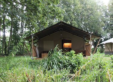 Tente safari de luxe au bord de l'eau en Frise - 6