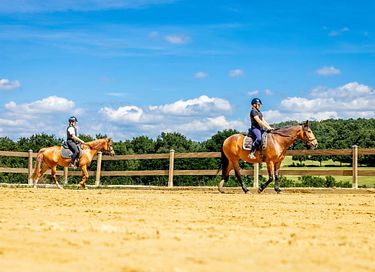 Glamping dans une ferme équestre et laitière - 15