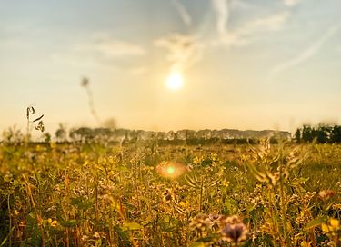 Groepsaccommodatie (24p) in de natuur  - 18