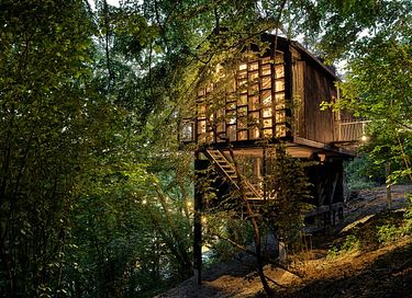 Unique cabane dans les arbes avec sauna privé dans les Ardennes