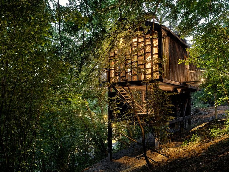 Unique cabane dans les arbes avec sauna privé dans les Ardennes - 1