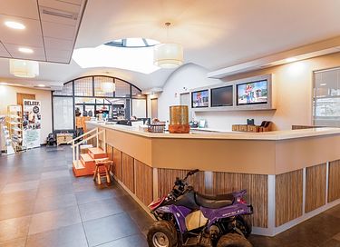 Glamping Lodge auf der Veluwe - 17