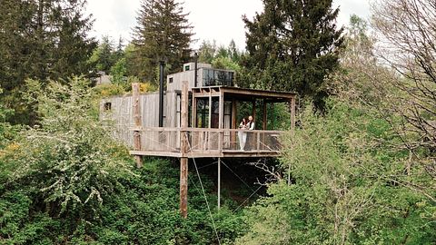 Boomhut in de Franse Elzas  - 2