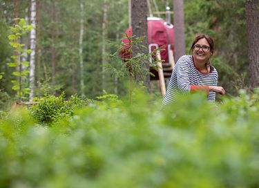 Tente glamping unique en pleine forêt - 15