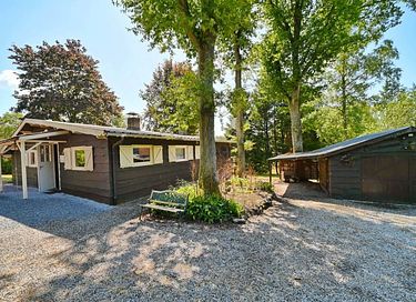 Chalet en bois au milieu de la forêt - 18