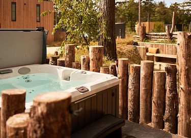 Forest lodge with wellness tub - 4