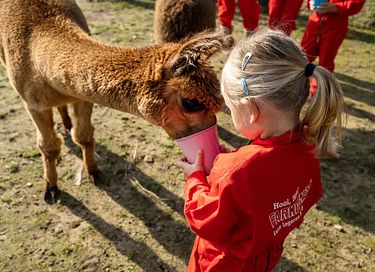 Glamping op veehouderij en akkerbouwboerderij - 9