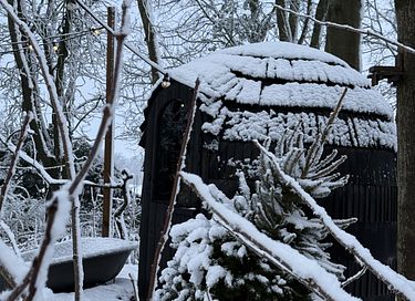 Tiny house met sauna in het bos  - 24