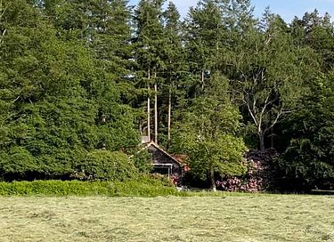 Luxe vakantiehuis bij het bos voor 4 pers.  - 7