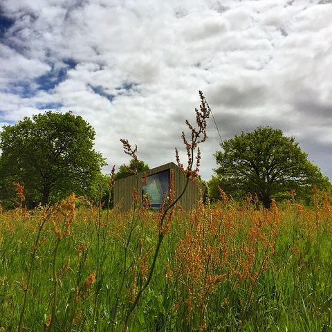 Rustgevende trekkershut (tiny house)  - 3