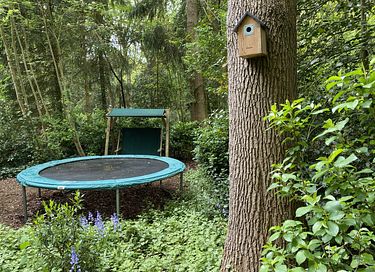 Chalet forestier confortable pour 5 avec grand jardin - 16