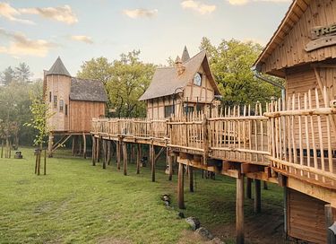 Unieke boomlodge in de Ardennen - 29