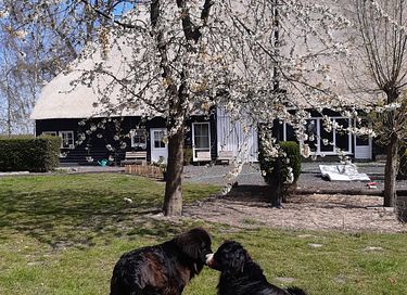 Einzigartige Übernachtung in Zeeland - 31