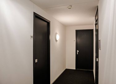Séjour confortable avec chien en Zélande - 8