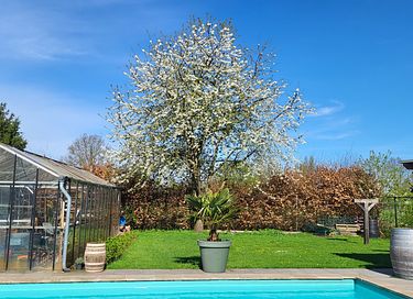 Zeer ruime vakantiewoning in Venlo (Limburg) - 22
