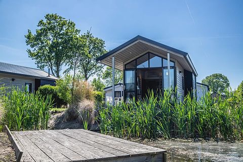 Charmant tiny house in oud-Zaanse stijl 4 personen - 2