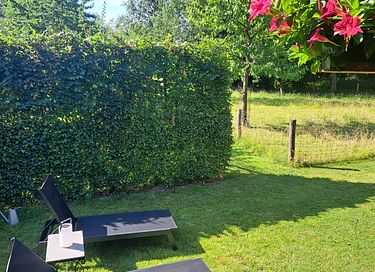 Tiny house in greenery - 31