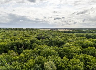 Luxueuse Maison dans la forêt avec sauna à barils à Drenthe - 25