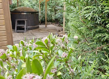 Wooden chalet with private hot tub - 3