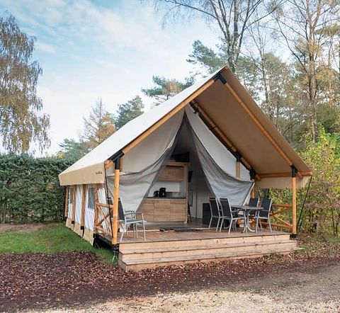Tente safari spacieuse pour 6 personnes dans la forêt - 3